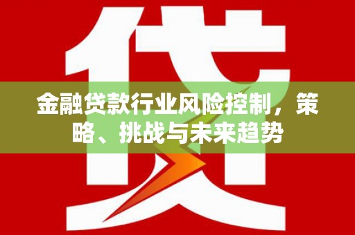 乐山金融贷款行业风险控制，策略、挑战与未来趋势